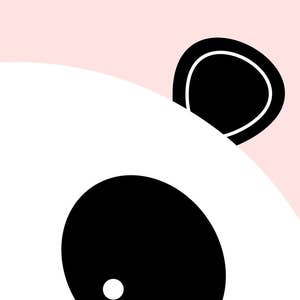 Peut inclure: Un panda noir et blanc qui regarde de derri&egrave;re un fond rose. L'&oelig;il et l'oreille du panda sont visibles.