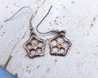 Copper Electroformed Okra Slice Earrings