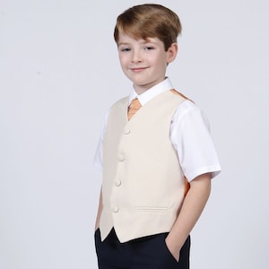 Page Boy Tie in Rose Gold / Copper Ring Bearer Tie / Elegant Silk Tie in Rose Gold (fits ages 1-12) for Child Wedding Clothing
