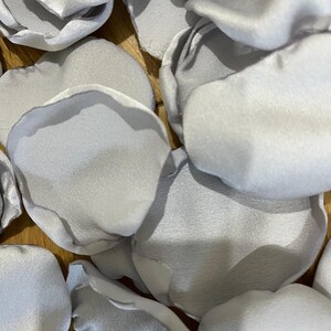 Può includere: Una collezione di petali di rosa in tessuto di raso grigio chiaro. I petali sono sparsi, con forme e dimensioni variabili. Il tessuto ha una lucentezza sottile e i petali appaiono morbidi e delicati. Ideale per matrimoni, artigianato o scopi decorativi.