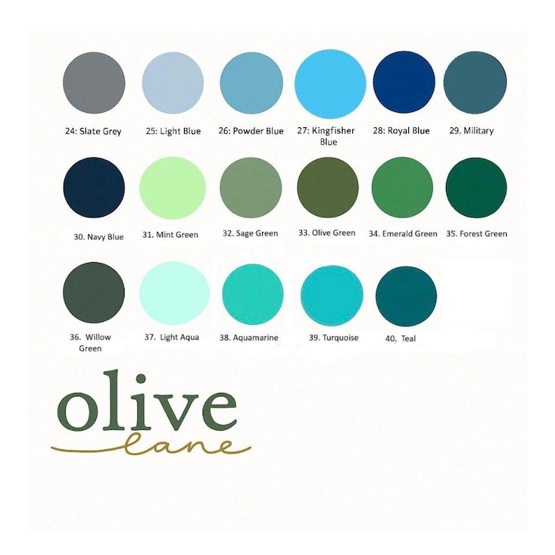 Mint Green Chiffon Shawl: Personalised Wedding Cover Up image 10