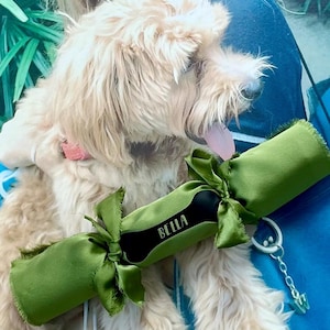 Personalisierter Hundeweihnachtscracker: Wiederverwendbarer Satin Leckerli Cracker