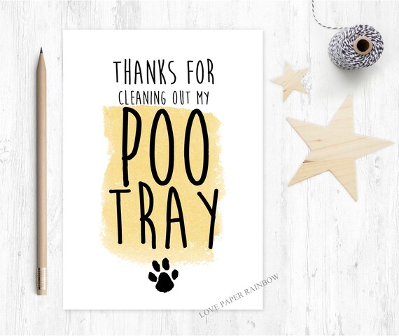 father's day card from the cat thanks from cat thanks for cleaning out my poo tray birthday card from cat thanks for looking after the cat