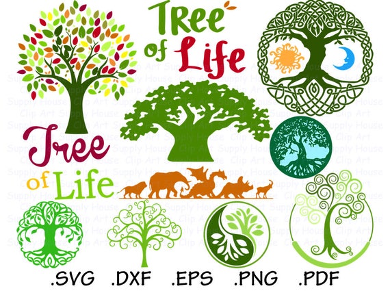 Download Tree Svg Collection Cricut Design Files Tree Of Life Svg Etsy 3D SVG Files Ideas | SVG, Paper Crafts, SVG File