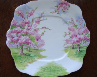 Blossom Time - Square Handled Cake Plate - Royal Albert Bone China England - Scenic - Trees with Apple Blossoms -Starter/Replacement Piece