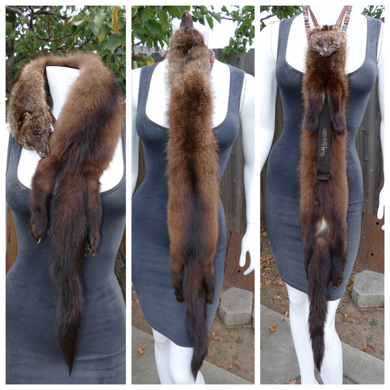 Genuine River Otter Fur Vintage Full Pelt Taxidermy 4… - Gem