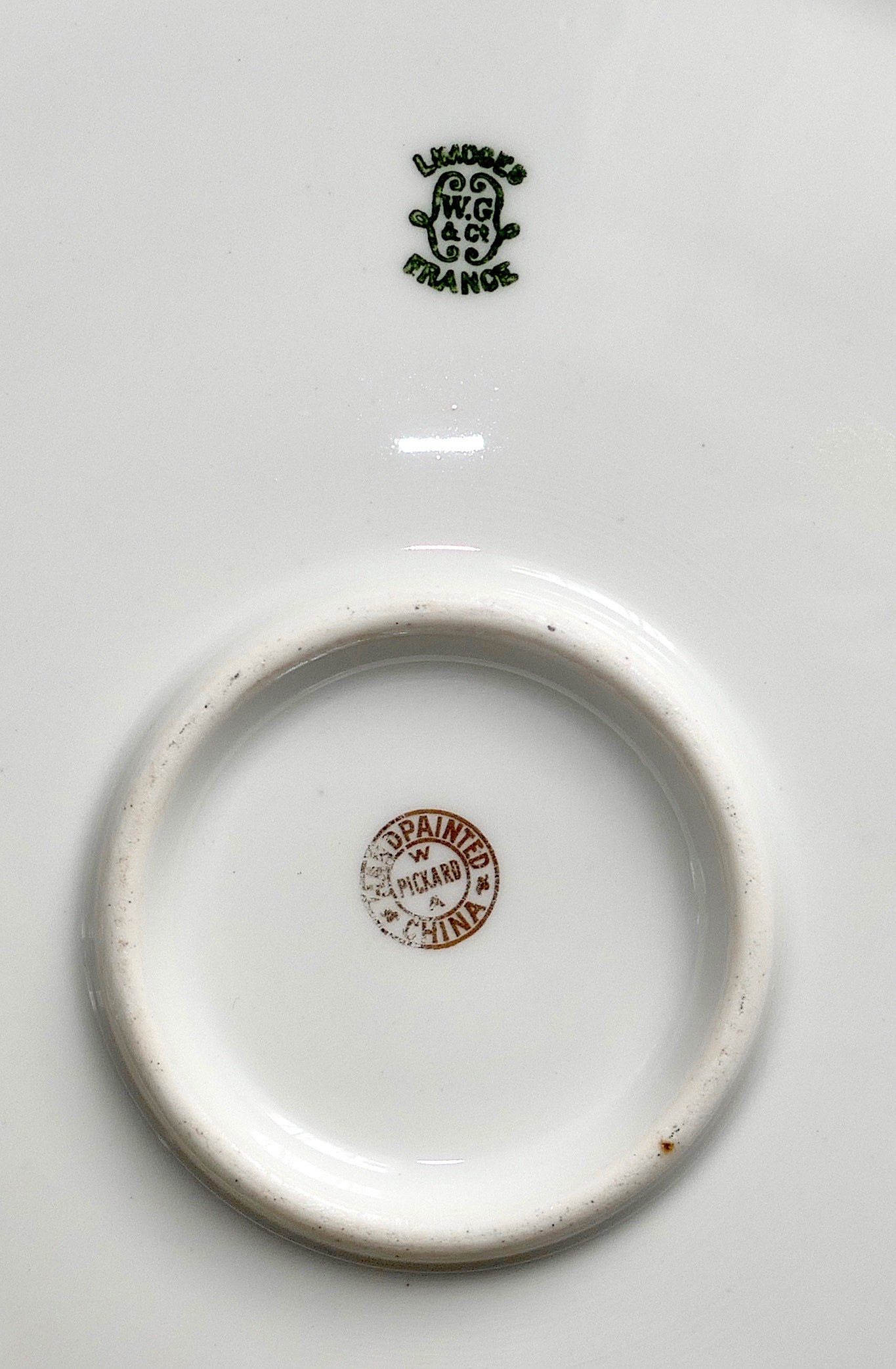 1898s PICKARD China LIMOGES W.g.&co. France Art Nouveau Hand