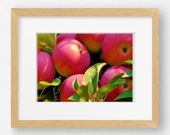 APPLES MINI PRINT-Fine Art Print, Kitchen Decor, Restaurant Decor, Country Kitchen, Farmhouse Decor, Food Photography, Fruit Print, Apples