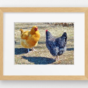 HEN TALK Mini Print-farmhouse Decor, Country Kitchen, Pictures of ...