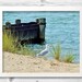 see more listings in the Beach+Lighthouse Prints section