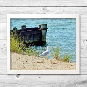 BEACH BUM-Fine Art Print, Beach Photography, Beach Decor, Lake House Decor, Lake Michigan, Michigan Beaches, Great Lakes, Beach Print, Gulls