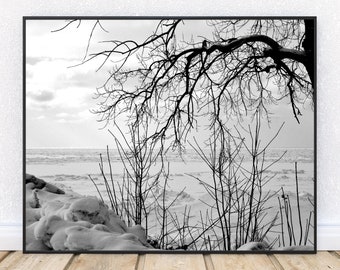 WINTER WONDER-Fine Art Print, Lake Michigan, Beach Photography, Winter Landscape, Beach in Winter, Snow Scene, Black And White, Winter Decor