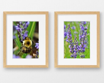LAVENDER PRINTS PAIR-Farmhouse Decor, Pictures of Lavender, Cottage Chic, Lavender Decor, Botanical Prints, Lavender, Fine Art Photography