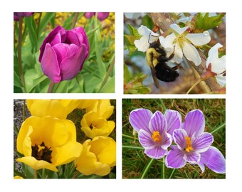SPRING BLOSSOMS Note Cards-Note Card Set, Stationery, Blank Cards, Thank You Notes, Greeting Cards, Hostess Gift, Flower Cards, Floral Cards