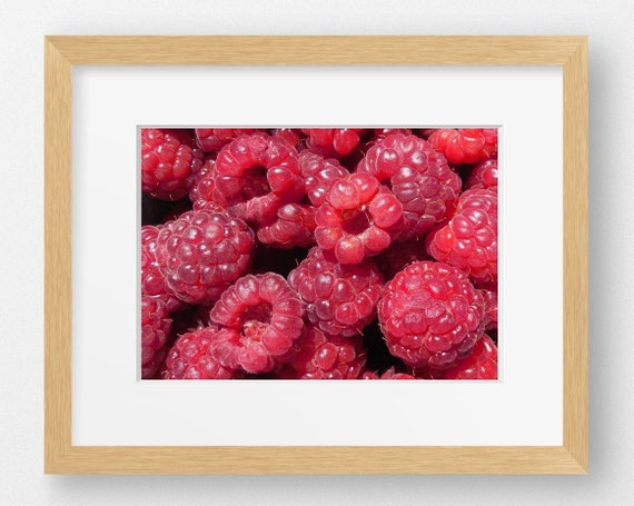 RASPBERRIES MINI PRINT-Farm To Table, Kitchen Decor, Restaurant Decor, Country Kitchen, Farmhouse Decor, Food, Fruit, Farm Photography