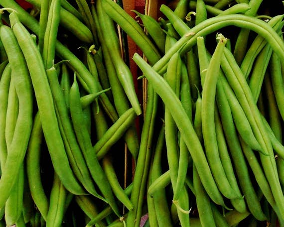Farm Market Green Beans Farm To Table Kitchen Decor Etsy
