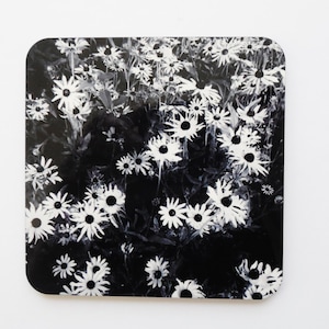 K&ouml;nnte beinhalten: Schwarz-wei&szlig;er Untersetzer mit einem floralen Design mit wei&szlig;en G&auml;nsebl&uuml;mchen auf schwarzem Hintergrund.