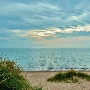 May include: A view of a sandy beach with green grass growing on the dunes. The ocean is in the background with a blue sky and white clouds.
