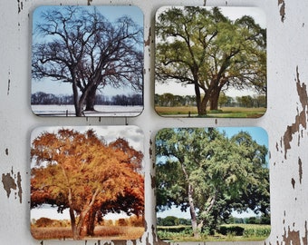 FOUR SEASONS Beverage Coasters-4 Assorted, Coaster Set, Tree Coasters, Drink Ware, Bar Ware, Hostess Gift, Housewarming Gift, Shower Gift