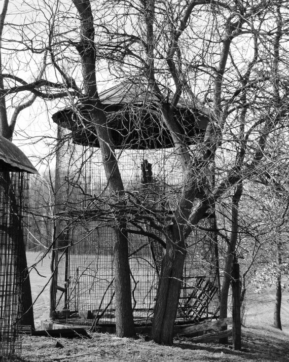 Rustic Corn Cribfarm Photography Corn Crib Farmhouse Etsy