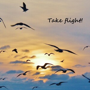 May include: Silhouettes of birds flying in a cloudy sky with a bright orange sunset in the background. The text "Take flight!" is written in the upper right corner of the image.