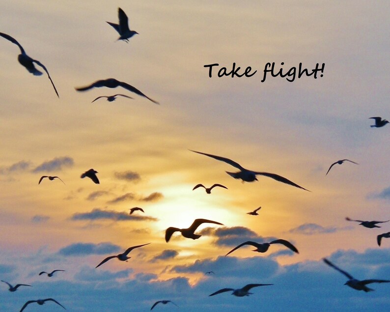 May include: Silhouettes of birds flying in a cloudy sky with a bright orange sunset in the background. The text "Take flight!" is written in the upper right corner of the image.