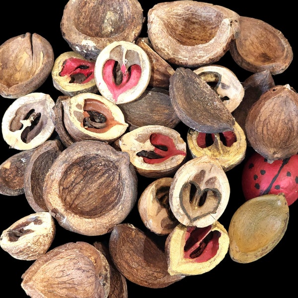 Hickory husks, Hickory nut hulls, Hickory nut shells, Nature's crafting supplies, Heart shaped nut, Painted nut shells for crafts