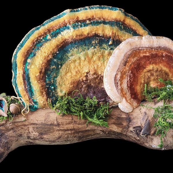 Gift for mushroom lover/Cottagecore shelf décor/Hand painted mushrooms/Mushroom mantle décor/Hand painted turkey tail mushrooms/Unique gift
