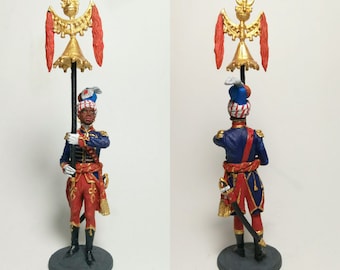 Les Guerres Napoléoniennes dans l'Histoire