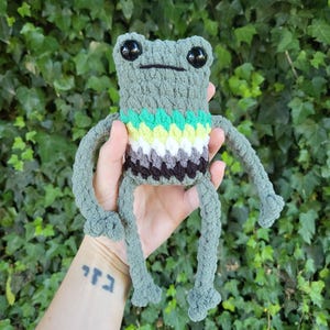 Aro Pride Leggy Frog Plushie | Made to Order Aromantic Flag Handmade Crochet Amigurumi Toy Stuffed Animal Plush Froggy Froggo Gift LGBTQIA+