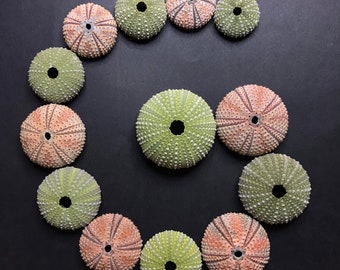 13 colorful sea urchins - real green and pinkish-orange urchin shells for crafts, collection & DIY works - beach home decor mosaics