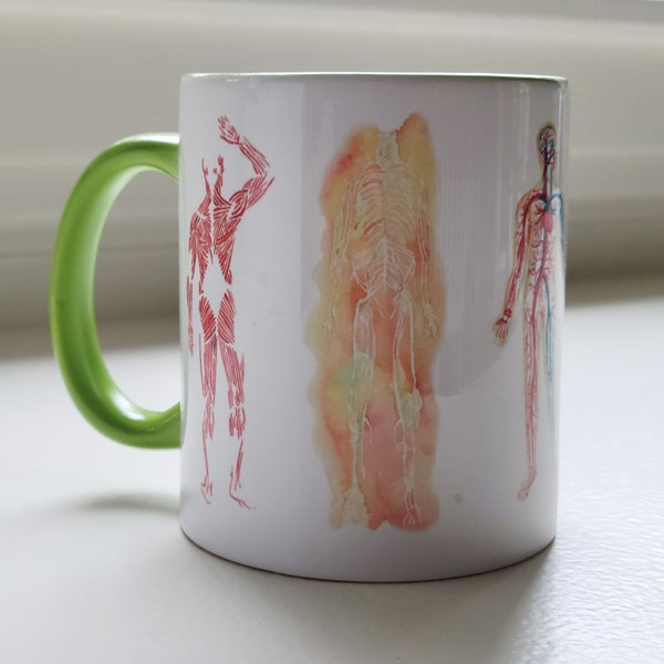 Body Systems in Color Anatomy Mug - Nervous System, Lymphatic System, Skeletal System, Circulatory System, Muscular System