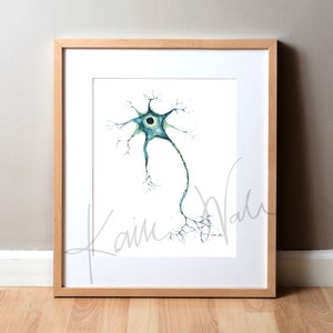 Könnte beinhalten: Ein gerahmtes Aquarellbild eines Neurons, einer Nervenzelle, mit einem grün-blauen Zellkörper und langen, dünnen Dendriten und Axonen. Das Bild ist unten rechts mit "Kaimi Wau" signiert.