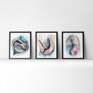 Pediatric Surgery Watercolor Print Set - Pediatric Art - Gift for Surgeon - Medical Gift