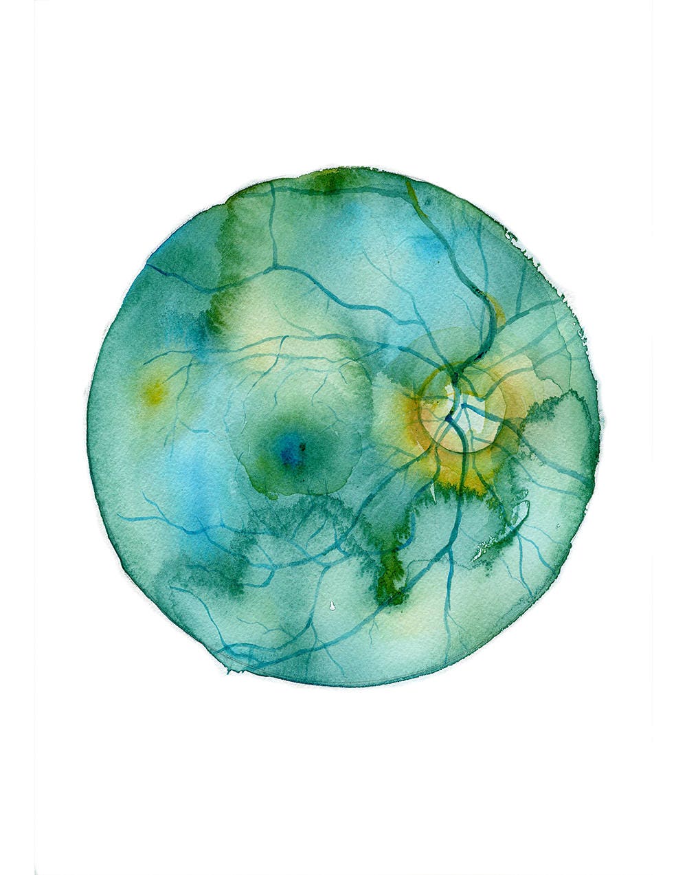 Retina Watercolor Print Abstract Eye Art Eye Anatomy Etsy