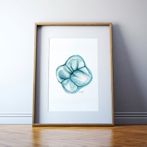 Maxillary Molar in Aqua, Dental Art, Tooth Art, Dentist Art, Watercolor Print