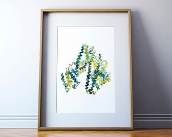 Albumin Protein Watercolor Art Print - Microbiology Art - Biology and Science Painting