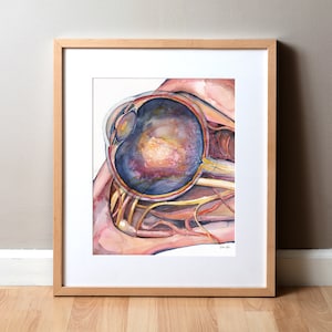 The Eye-aquarelprint - optometrie en oogheelkundige kunst - Eye Art