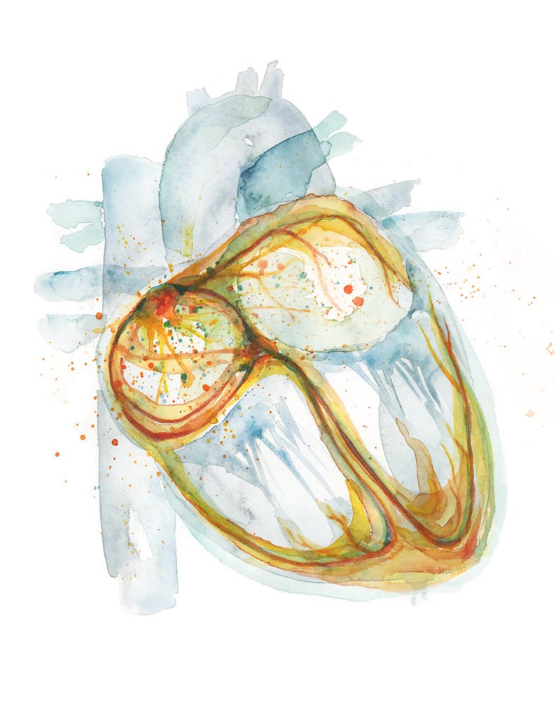 Electrical Pathways Heart Watercolor Art Print Anatomy Art Heart Painting Cardiovascular Art image 2