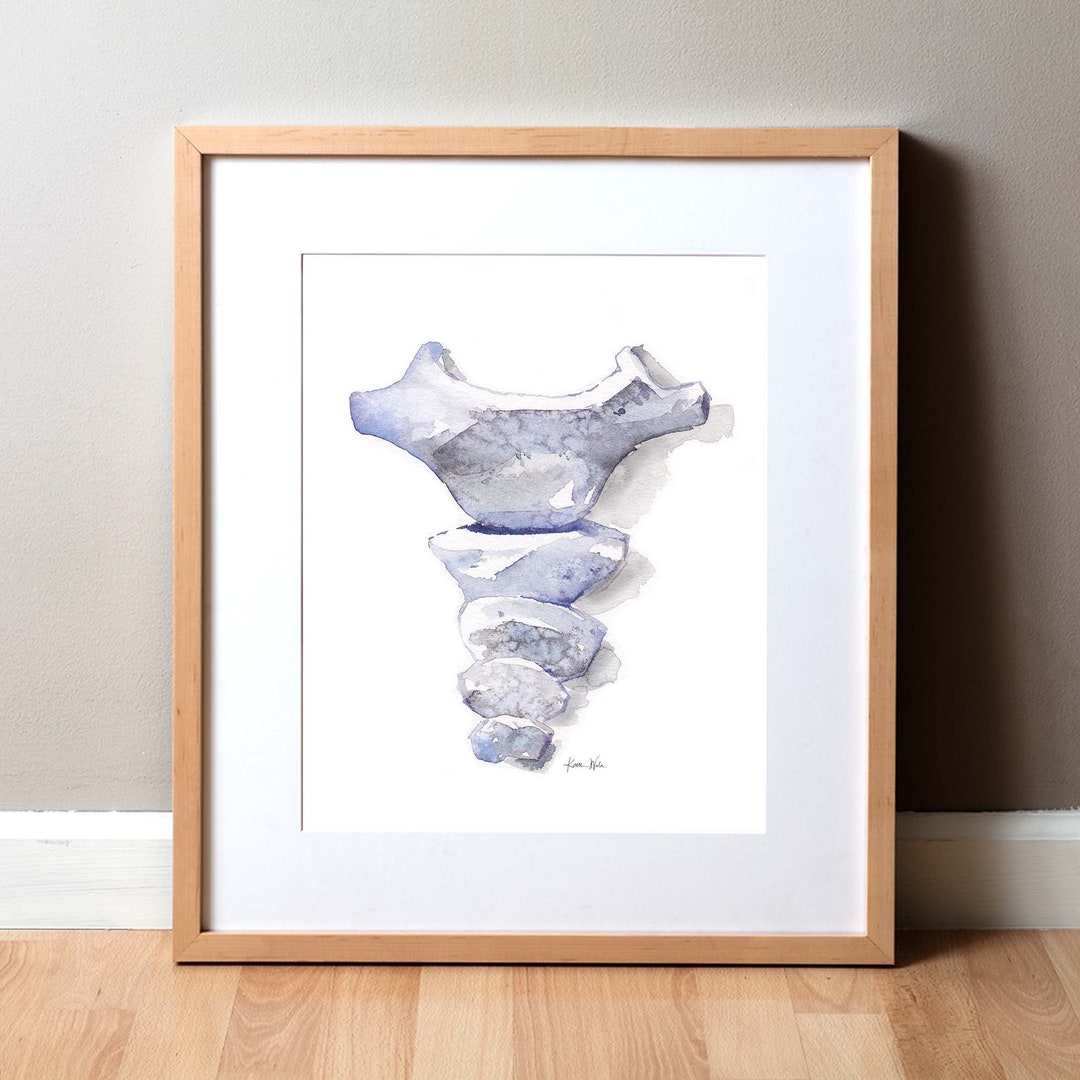 Coccyx Watercolor Print - Spine Watercolor Print - Anatomy Art - Etsy