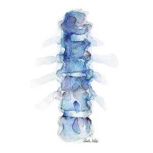 Blue Spine Print Series of 3 Anatomy Art Set 3 Watercolor Prints image 3