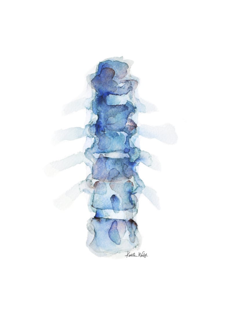 Blue Spine Print Series of 3 Anatomy Art Set 3 Watercolor Prints image 3