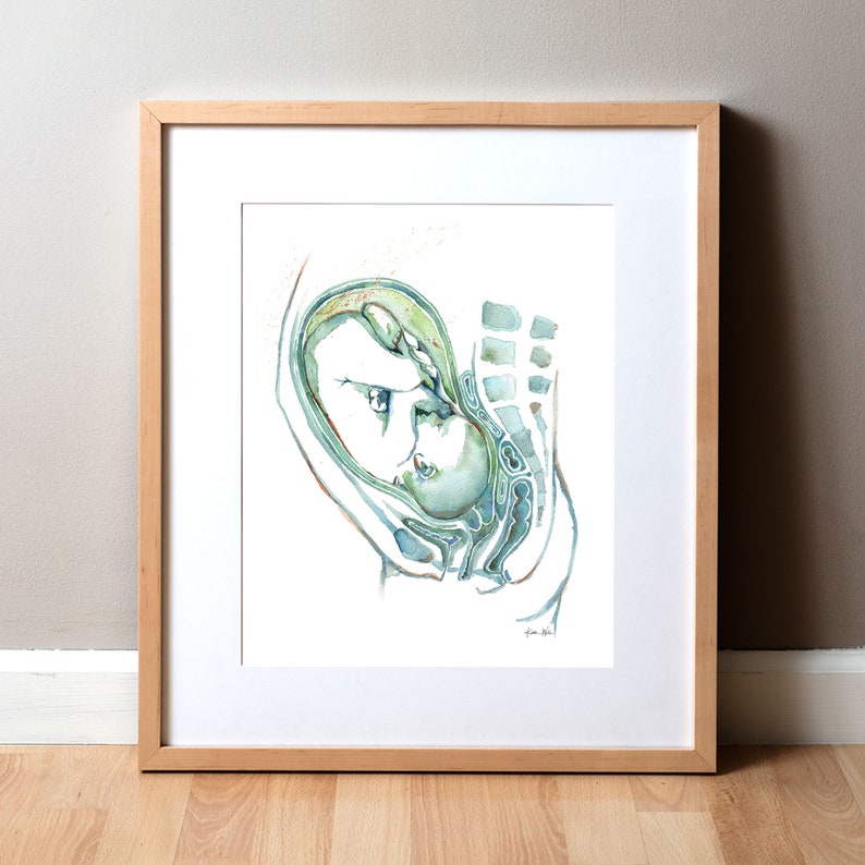 Fetal Anatomy Watercolor Print Pregnancy Anatomy Art Print OBGYN Anatomy Art Print Fertility and Reproductive Print image 1