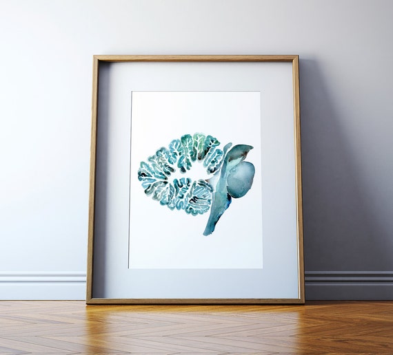The Cerebellum and Brain Stem in Turquoise - Brain Art Watercolor - Brain Painting - Neurology Art - Anatomy Art