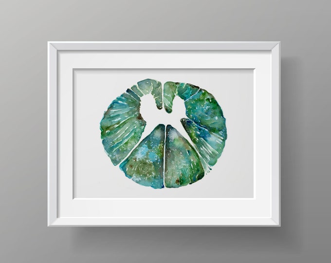 Spinal Cord Cross Section Watercolor Print Anatomy Art Doctor Office ...