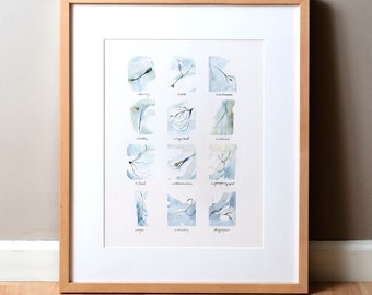 Cranial Nerves Anatomy Print | Medical Wall Art, Neurology Gift - Etsy ...