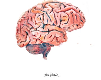 イギリス・ハンターミュージアム・BRAIN(脳)キーホルダー