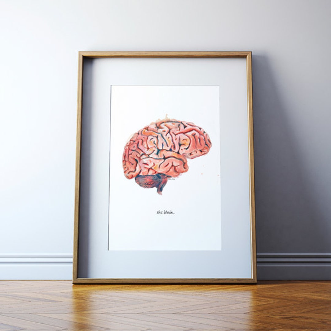 The Human Brain, Sagittal View Watercolor Print Anatomical Brain