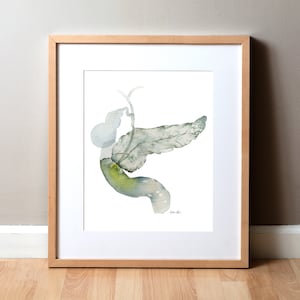 Ampulla of Vater Watercolor Print - Gastrointestinal Art - Gut Art - Digestion Art