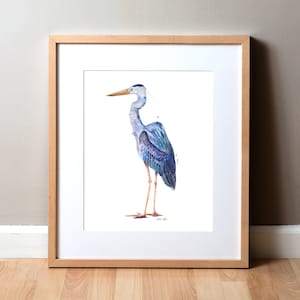 Grote blauwe reiger kunstafdruk ingelijst - aquarel schilderij - vogels